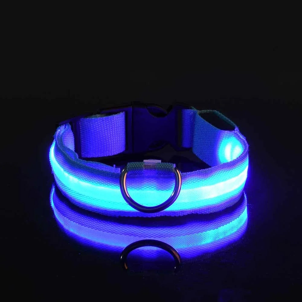 Collier Lumineux LED pour Chien – Sécurité Nocturne, Réglable & Résistant, Multi-Modes & Haute Visibilité