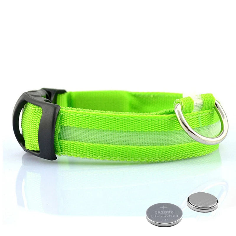 Collier Lumineux LED pour Chiens et Chats – Sécurité Nocturne & Recharge USB 🔦🐶🐱