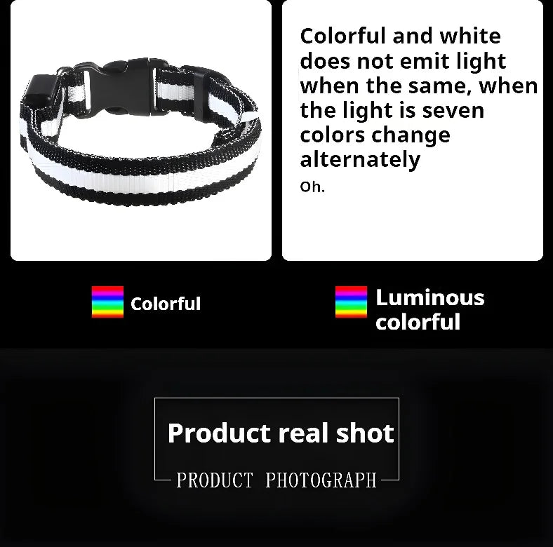 Collier Lumineux LED pour Chien – Sécurité Nocturne, Réglable & Résistant, Multi-Modes & Haute Visibilité