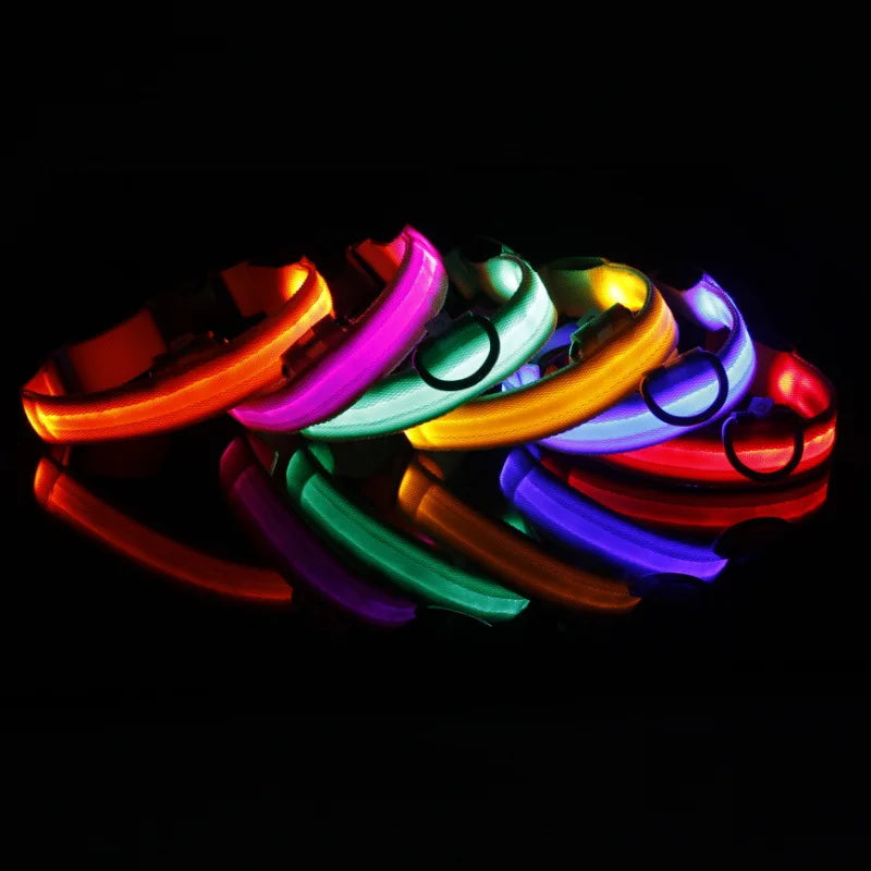 Collier Lumineux LED pour Chiens et Chats – Sécurité Nocturne & Recharge USB 🔦🐶🐱