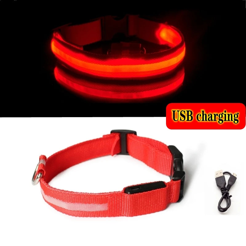 Collier Lumineux LED pour Chiens et Chats – Sécurité Nocturne & Recharge USB 🔦🐶🐱