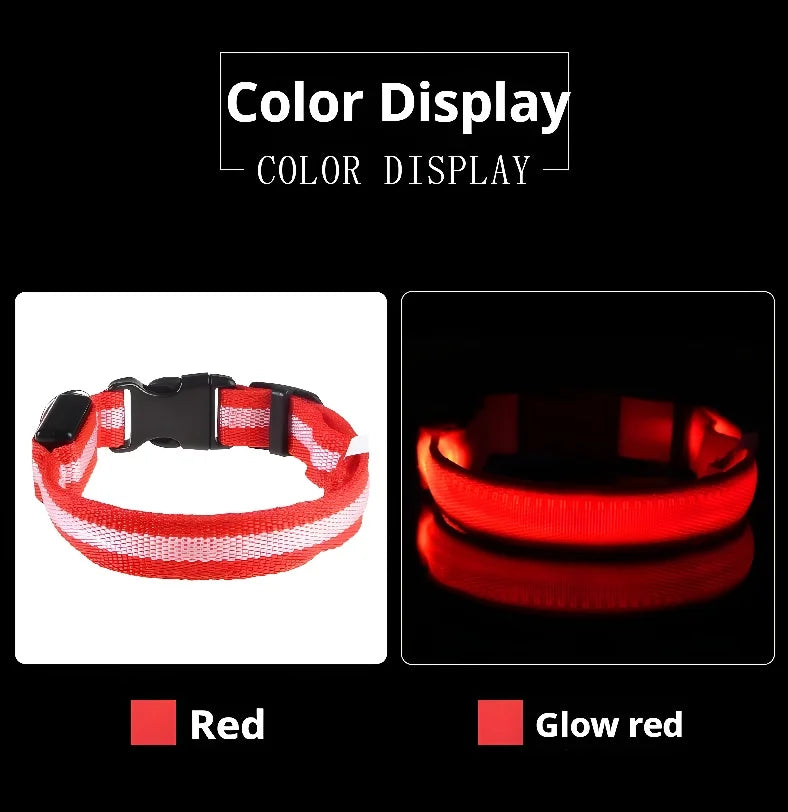 Collier Lumineux LED pour Chien – Sécurité Nocturne, Réglable & Résistant, Multi-Modes & Haute Visibilité