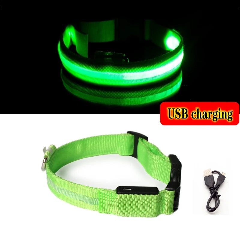 Collier Lumineux LED pour Chiens et Chats – Sécurité Nocturne & Recharge USB 🔦🐶🐱