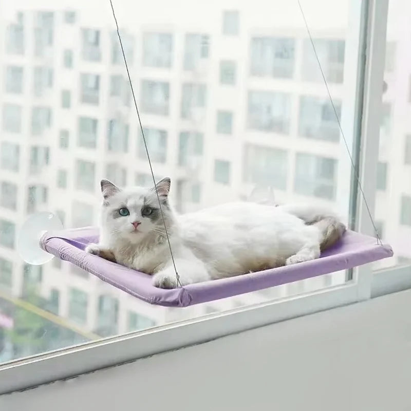 Hamac de Fenêtre pour Chats – Nid Suspendu Confortable et Respirant 🐱☁️