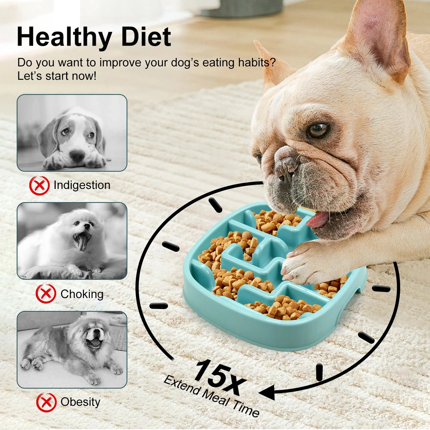 🐶 Bol Anti-Glouton pour Chiens – Ralentissez les Repas pour une Meilleure Digestion ! 🦴