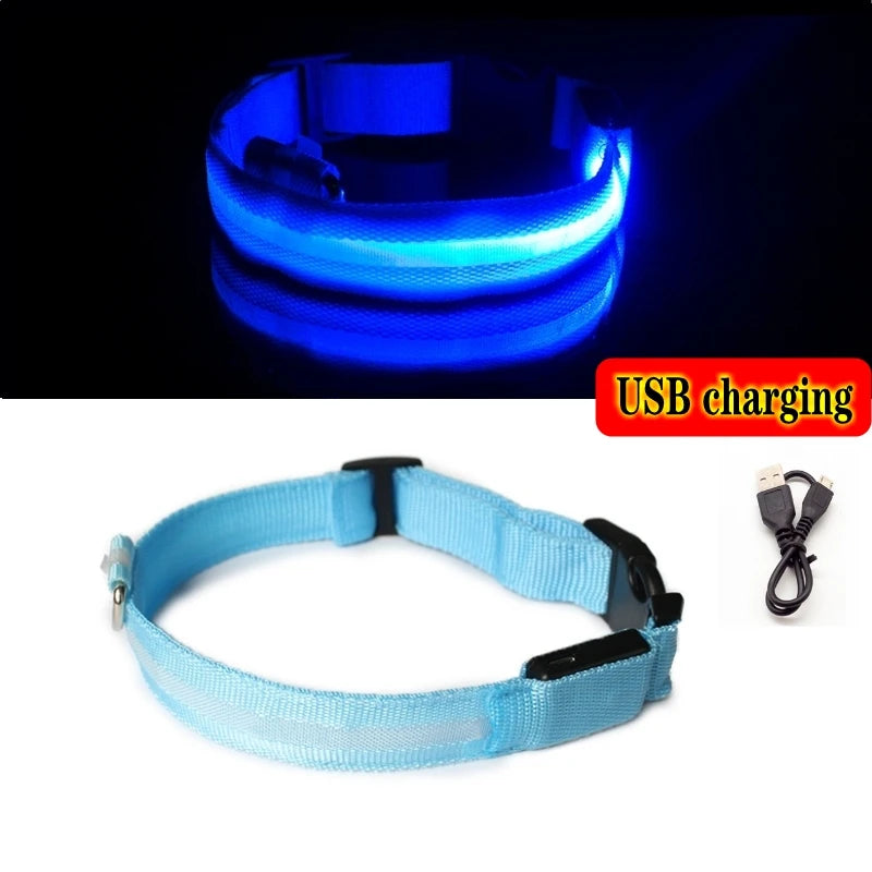 Collier Lumineux LED pour Chiens et Chats – Sécurité Nocturne & Recharge USB 🔦🐶🐱