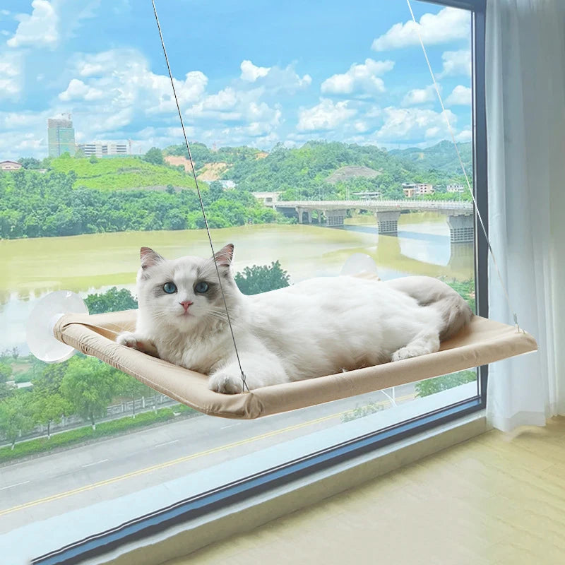 Hamac de Fenêtre pour Chats – Nid Suspendu Confortable et Respirant 🐱☁️