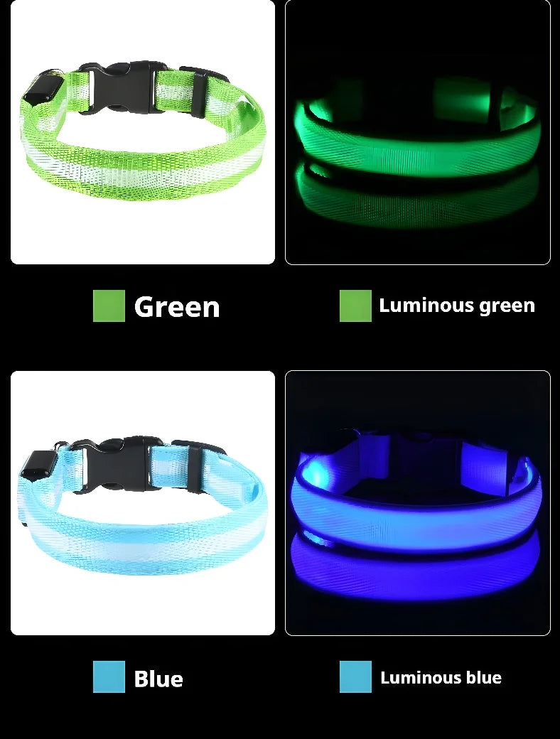 Collier Lumineux LED pour Chien – Sécurité Nocturne, Réglable & Résistant, Multi-Modes & Haute Visibilité