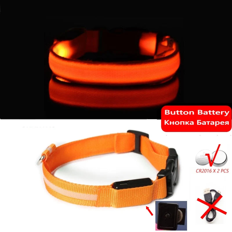 Collier Lumineux LED pour Chiens et Chats – Sécurité Nocturne & Recharge USB 🔦🐶🐱
