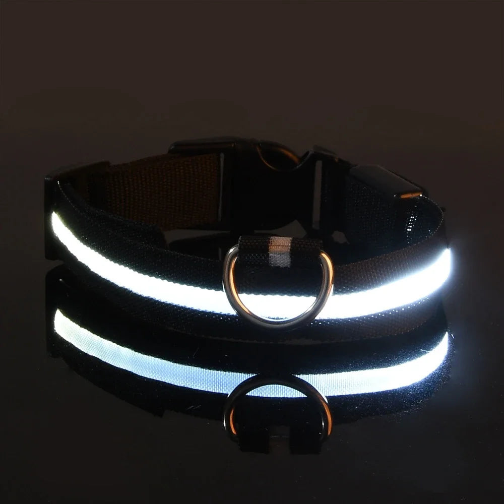 Collier Lumineux LED pour Chien – Sécurité Nocturne, Réglable & Résistant, Multi-Modes & Haute Visibilité