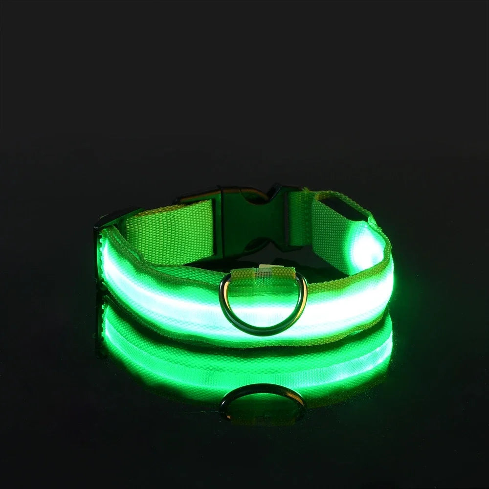 Collier Lumineux LED pour Chien – Sécurité Nocturne, Réglable & Résistant, Multi-Modes & Haute Visibilité