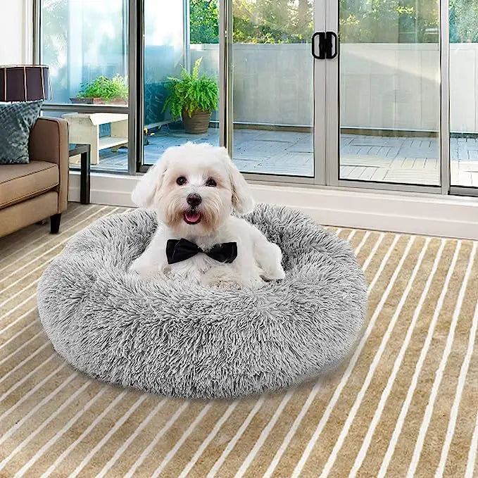 Panier Douillet pour Chats â Lit Moelleux et Chaud en Peluche đ±đ€