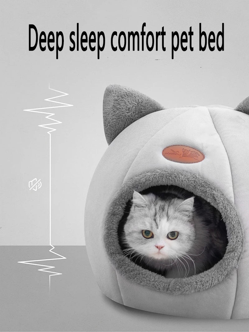 Maison Douillette pour Chats – Confort & Chaleur en Hiver 🐱🏡🔥