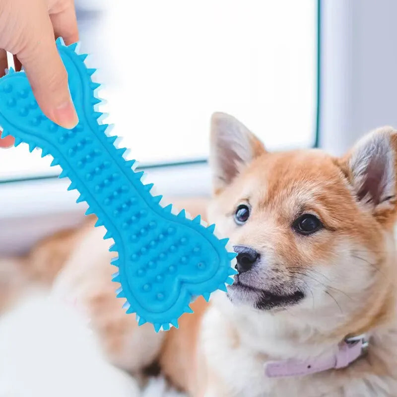 Jouet à Mâcher en Caoutchouc pour Chiens – Résistant, Sûr et Amusant 🦴🐾