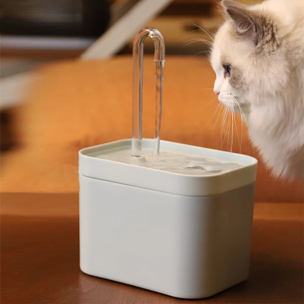 Fontaine à Eau avec Filtre Intégré – Hydratation Saine et Continue