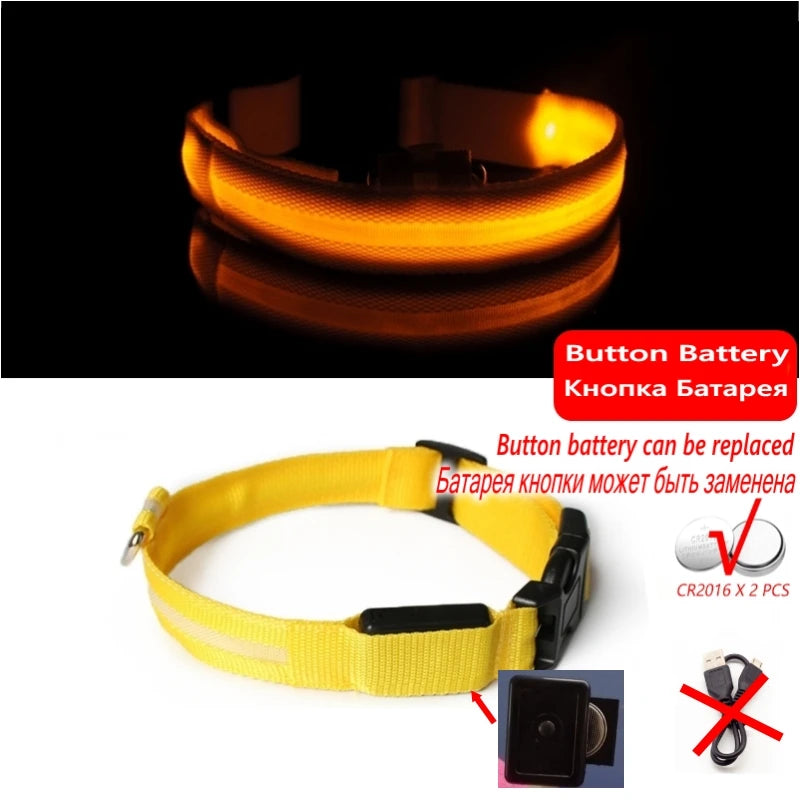 Collier Lumineux LED pour Chiens et Chats – Sécurité Nocturne & Recharge USB 🔦🐶🐱