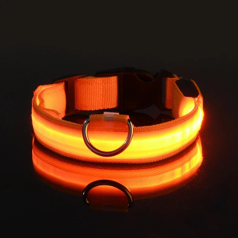 Collier Lumineux LED pour Chien – Sécurité Nocturne, Réglable & Résistant, Multi-Modes & Haute Visibilité