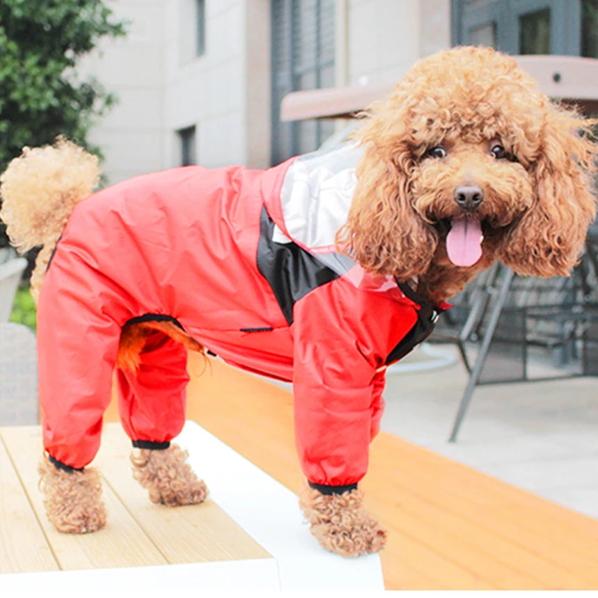 Imperméable pour Chiens – Léger, Confortable & Étanche avec Capuche Transparente