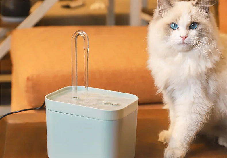 Fontaine à Eau avec Filtre Intégré – Hydratation Saine et Continue
