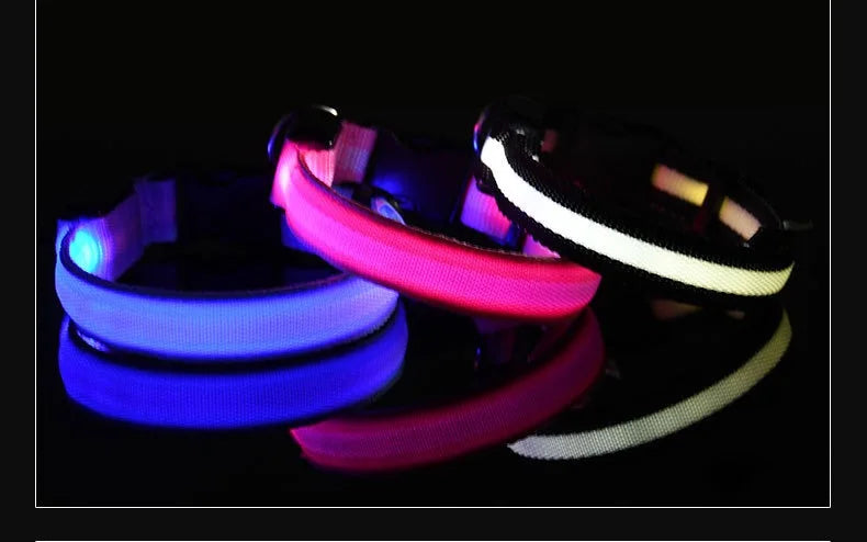 Collier Lumineux LED pour Chien – Sécurité Nocturne, Réglable & Résistant, Multi-Modes & Haute Visibilité