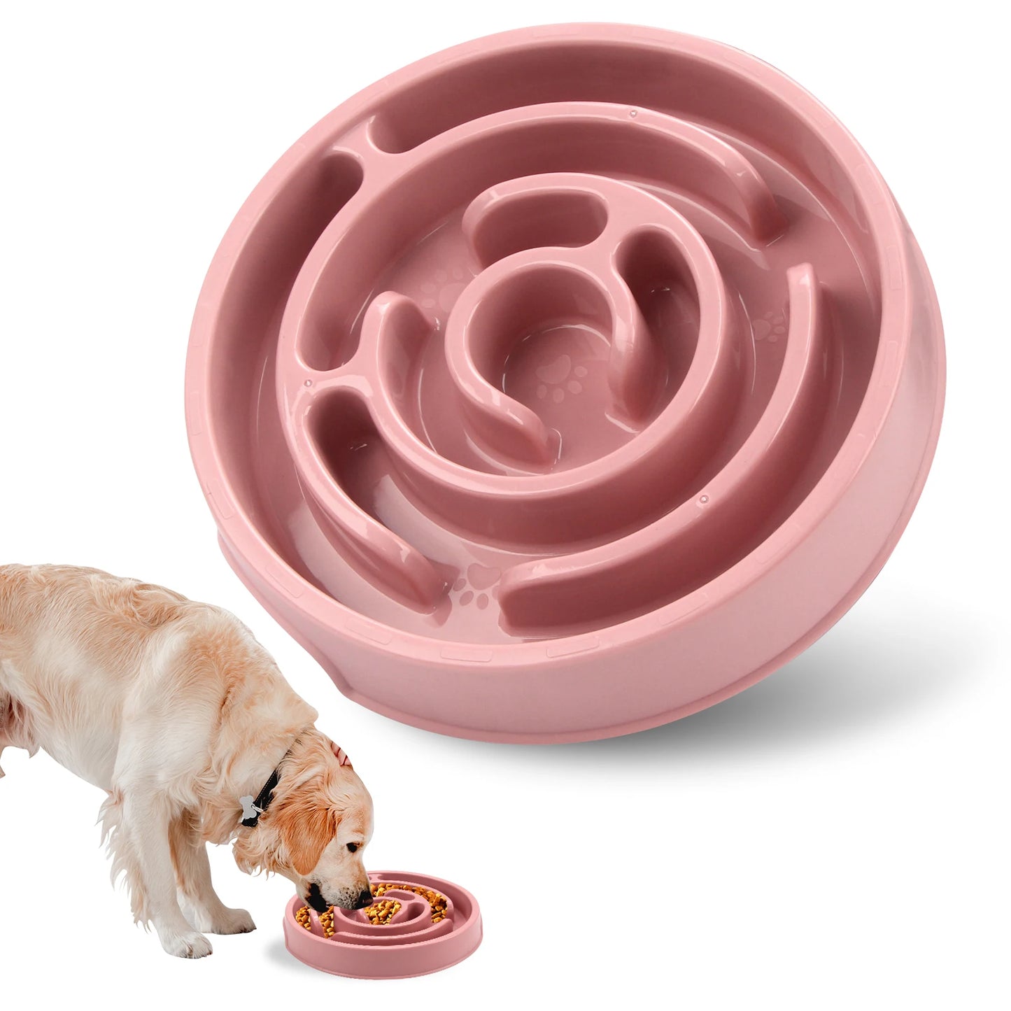 🐶 Bol Anti-Glouton pour Chiens – Ralentissez les Repas pour une Meilleure Digestion ! 🦴