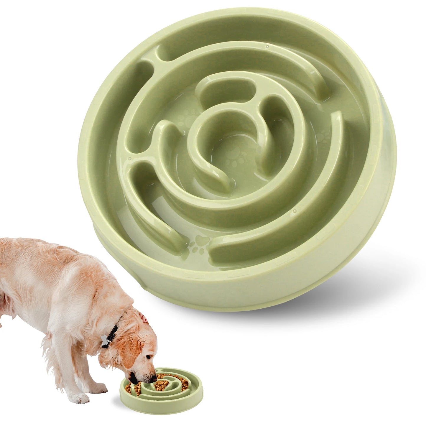 🐶 Bol Anti-Glouton pour Chiens – Ralentissez les Repas pour une Meilleure Digestion ! 🦴