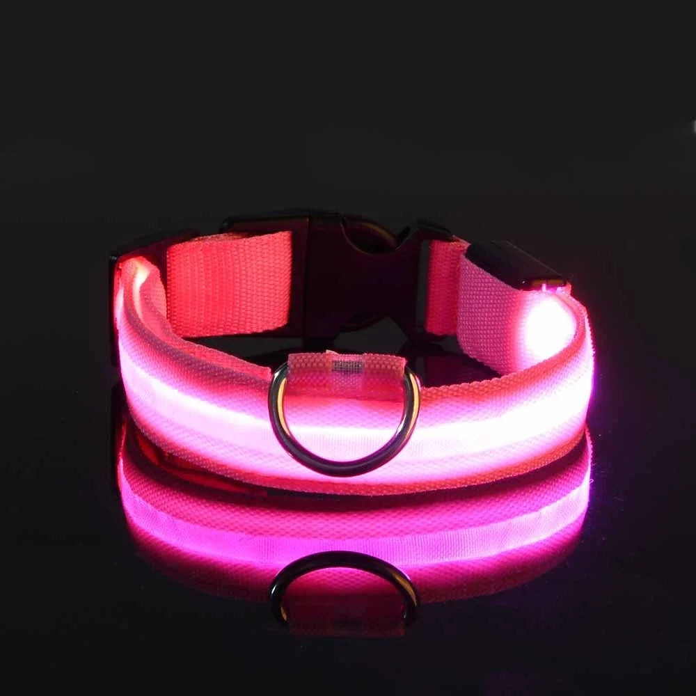 Collier Lumineux LED pour Chien – Sécurité Nocturne, Réglable & Résistant, Multi-Modes & Haute Visibilité