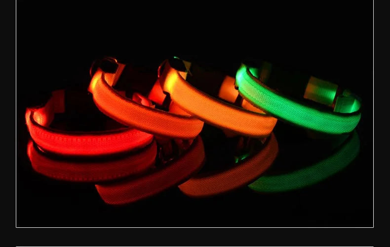 Collier Lumineux LED pour Chien – Sécurité Nocturne, Réglable & Résistant, Multi-Modes & Haute Visibilité