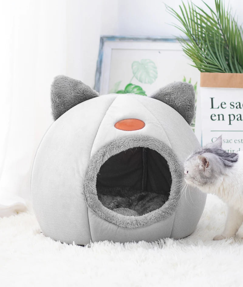 Maison Douillette pour Chats – Confort & Chaleur en Hiver 🐱🏡🔥