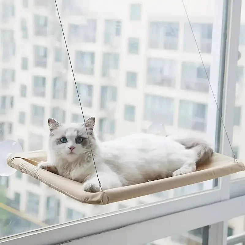 Hamac de Fenêtre pour Chats – Nid Suspendu Confortable et Respirant 🐱☁️