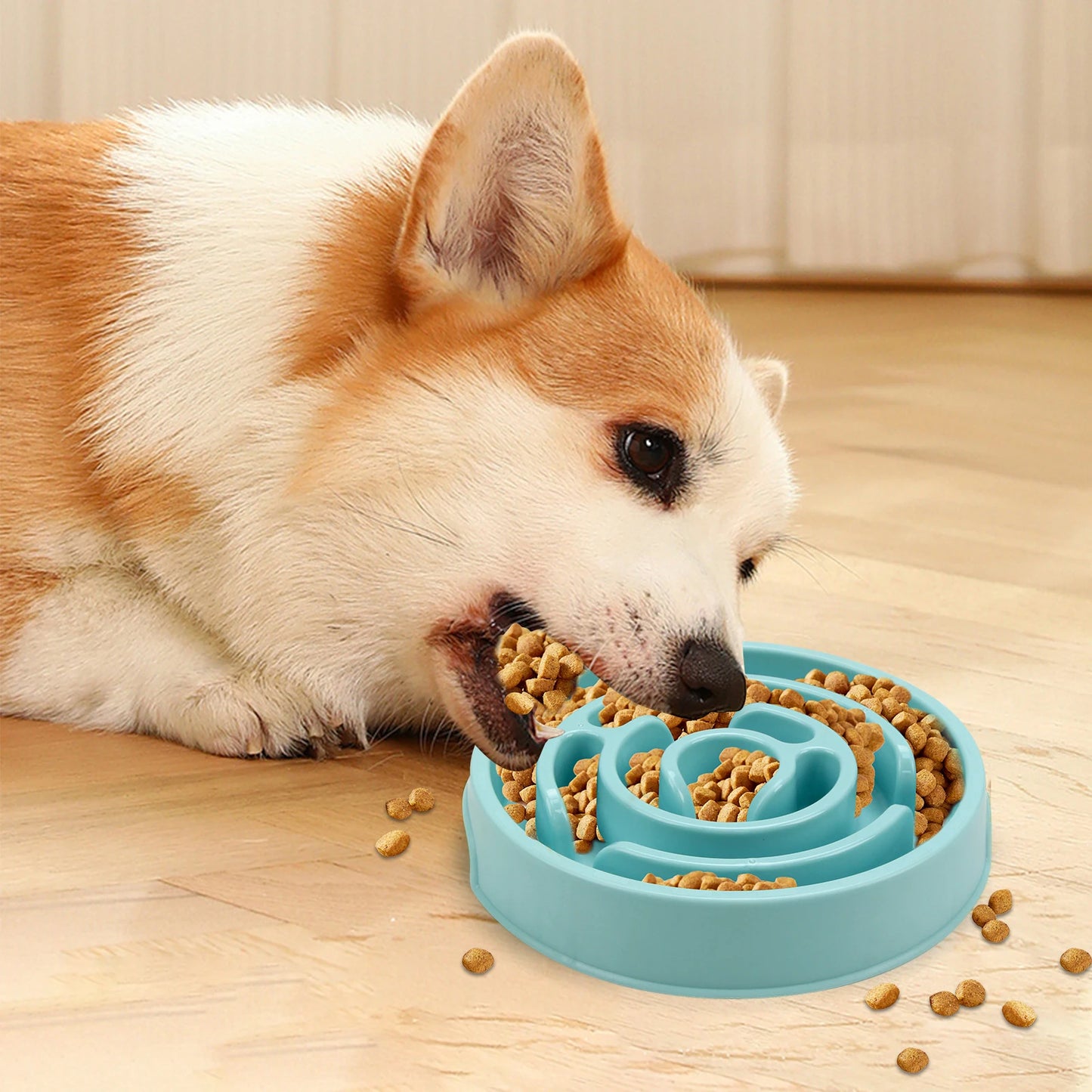 🐶 Bol Anti-Glouton pour Chiens – Ralentissez les Repas pour une Meilleure Digestion ! 🦴