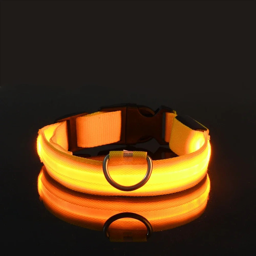 Collier Lumineux LED pour Chien – Sécurité Nocturne, Réglable & Résistant, Multi-Modes & Haute Visibilité
