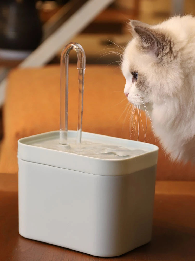 Fontaine à Eau avec Filtre Intégré – Hydratation Saine et Continue
