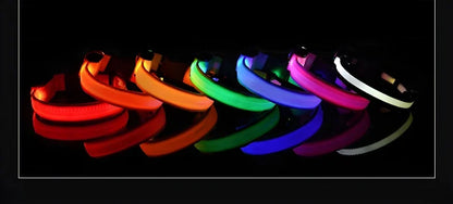 Collier Lumineux LED pour Chien – Sécurité Nocturne, Réglable & Résistant, Multi-Modes & Haute Visibilité