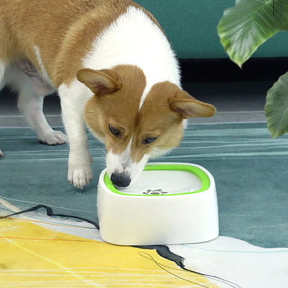 Gamelle d’Eau Anti-Éclaboussures pour Chien et Chat – Système Flottant & Anti-Mouillage