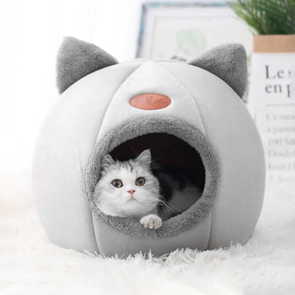Maison Douillette pour Chats – Confort & Chaleur en Hiver 🐱🏡🔥