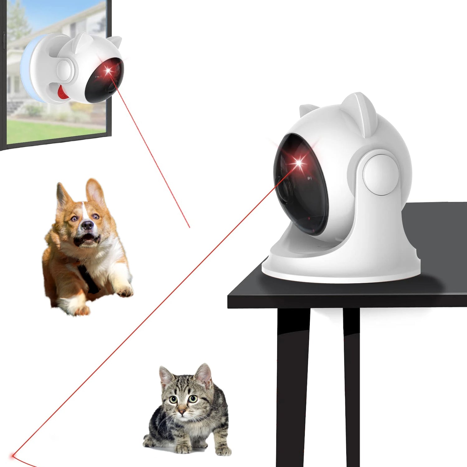 jouet laser interactif pour chats