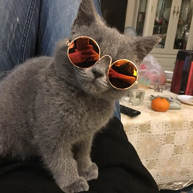 Lunettes Rétro pour Chats & Petits Chiens – Accessoire Cosplay & Protection UV