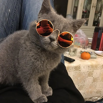Lunettes Rétro pour Chats & Petits Chiens – Accessoire Cosplay & Protection UV