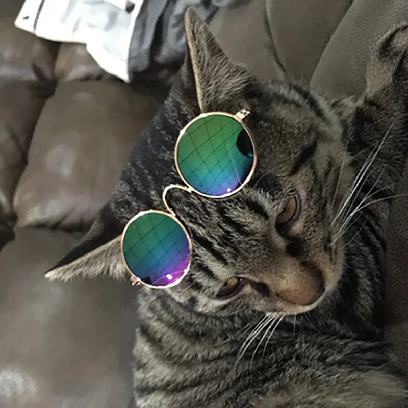 Lunettes Rétro pour Chats & Petits Chiens – Accessoire Cosplay & Protection UV