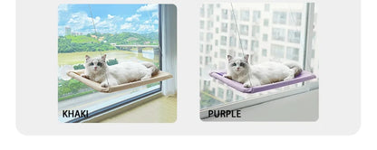 Hamac de Fenêtre pour Chats – Nid Suspendu Confortable et Respirant 🐱☁️