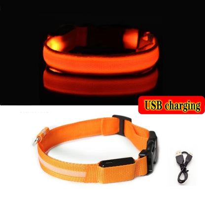 Collier Lumineux LED pour Chiens et Chats – Sécurité Nocturne & Recharge USB 🔦🐶🐱