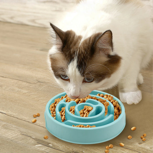 🐶 Bol Anti-Glouton pour Chiens – Ralentissez les Repas pour une Meilleure Digestion ! 🦴