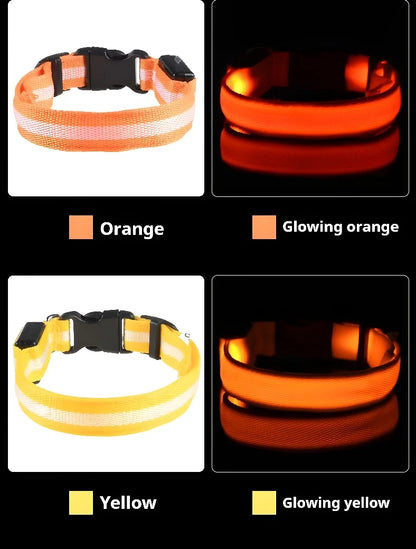 Collier Lumineux LED pour Chien – Sécurité Nocturne, Réglable & Résistant, Multi-Modes & Haute Visibilité