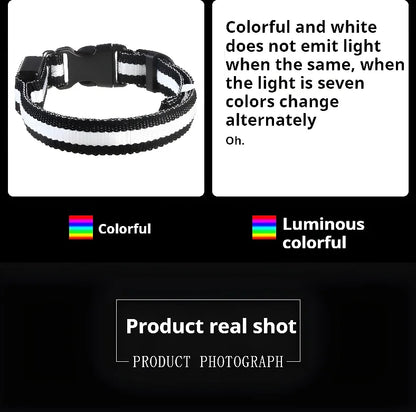 Collier Lumineux LED pour Chien – Sécurité Nocturne, Réglable & Résistant, Multi-Modes & Haute Visibilité