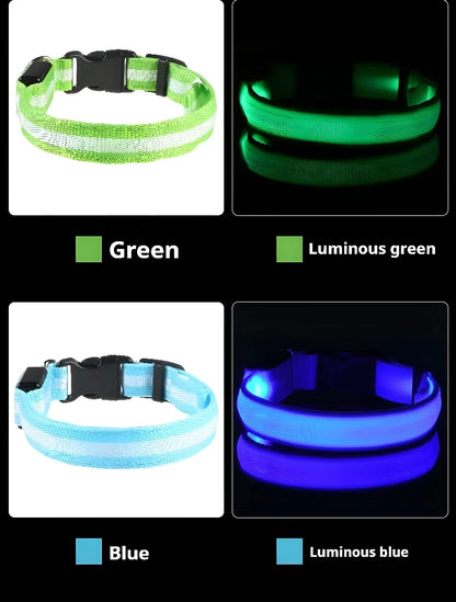 Collier Lumineux LED pour Chien – Sécurité Nocturne, Réglable & Résistant, Multi-Modes & Haute Visibilité