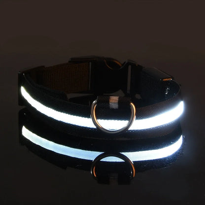 Collier Lumineux LED pour Chien – Sécurité Nocturne, Réglable & Résistant, Multi-Modes & Haute Visibilité