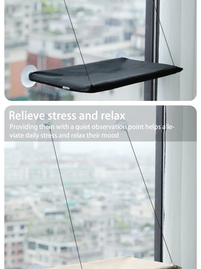 Hamac de Fenêtre pour Chats – Nid Suspendu Confortable et Respirant 🐱☁️