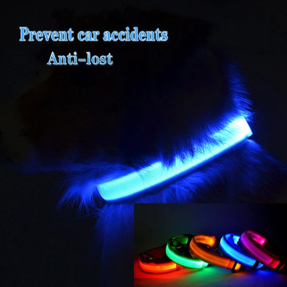 Collier Lumineux LED pour Chiens et Chats – Sécurité Nocturne & Recharge USB 🔦🐶🐱