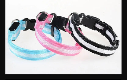 Collier Lumineux LED pour Chien – Sécurité Nocturne, Réglable & Résistant, Multi-Modes & Haute Visibilité
